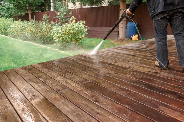 Best Solar Panel Cleaning  in Weston, FL